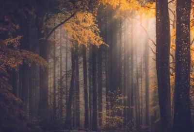 ​给老公的早上问候语句优选111句