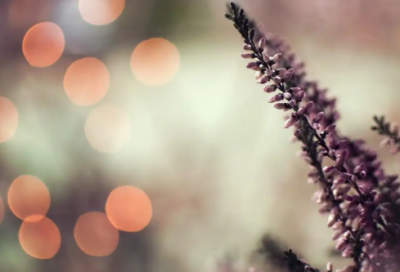 ​夸女孩子的优点长句