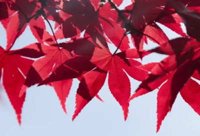 ​比尔盖茨有多少钱精选32句