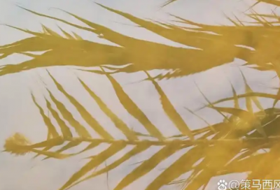 ​qq个性标签八个字