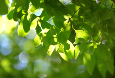 ​夸男生的话有点创意的精选147句