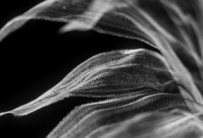 ​想你想的睡不着觉