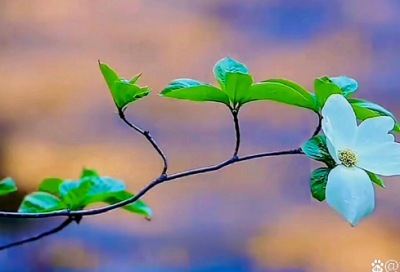 ​碑文对联180句