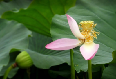 ​名岂文章著优选124句