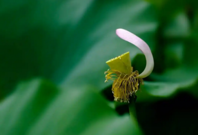 ​鲁滨孙漂流记的佳句