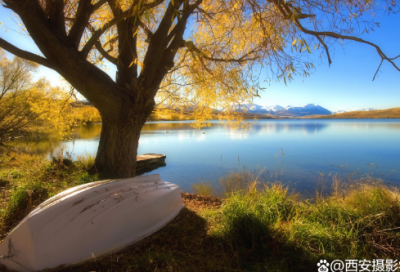 ​告白的话精选124句