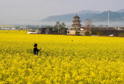 ​三国演义中的佳句