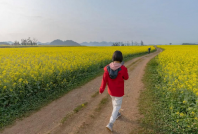 ​山中送别王维