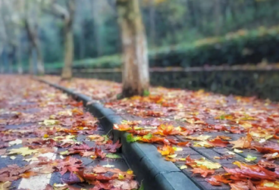 ​黯打一成语优选31句