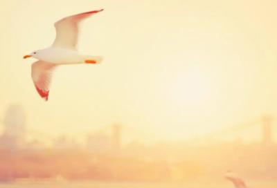 ​康姓男宝宝起名大全