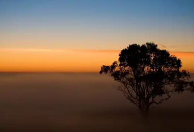 ​感恩教师手抄报图片大全精选37句