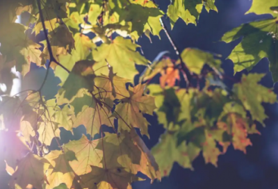 ​语不惊人死不休什么意思精选24句