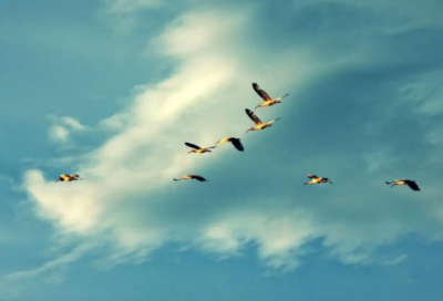 ​加班励志正能量朋友圈精选21句