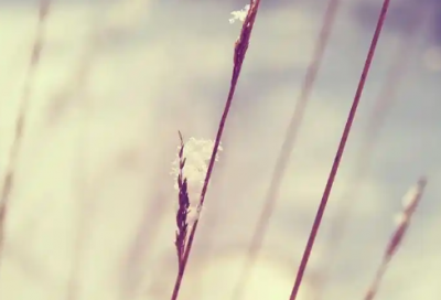 ​爱心寄语一句话给山区小朋友精选40句