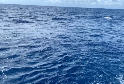 ​恍然大悟造句_100字用恍然大悟造句