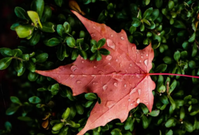 ​养老送终造句