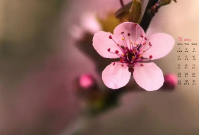 ​说一不二造句