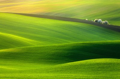 ​千呼万唤造句大全28句