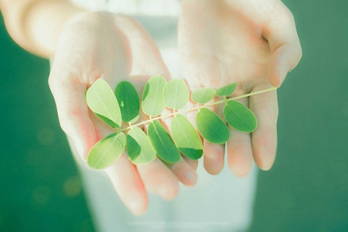 见微知著造句大全31句