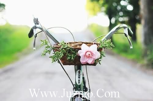 春天造句一年级春天造句一年级简单(精选45句)