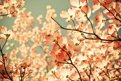 瞻仰造句大全集25句