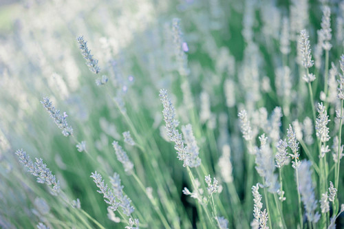 入木三分造句36句