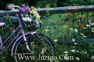 ​中秋节祝贺语82句