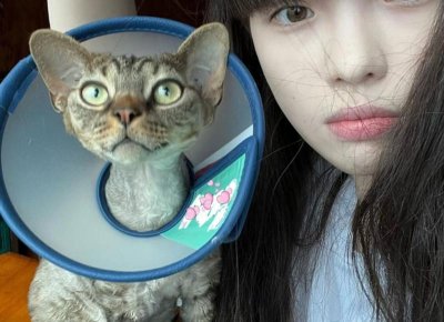 ​永远说不完的浪漫情话歌名是什么[神话情话抖音dj完整版小可]