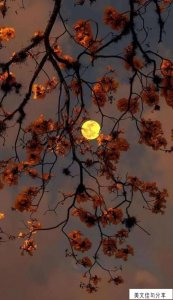 ​天气冷的朋友圈说说搞笑(不抗冻幽默的句子45句)