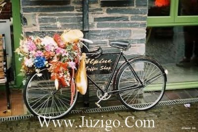 ​失去了信任的感情说说失去信任的婚姻说说(精选55句)