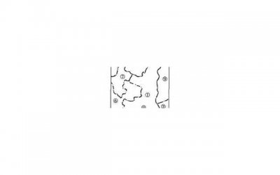 ​2026最新出炉幽默情话句子（希望开头的文案）