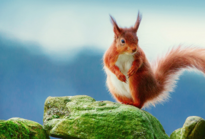 ​好听的女孩名字