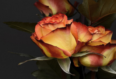 ​女孩缺金的洋气名字大全，女孩缺金取什么名字好