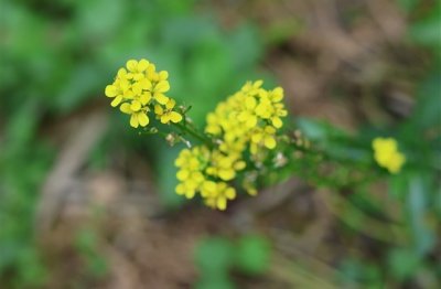 ​穿越火线个性昵称大全(优选1066个)