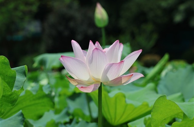 诗意感强的游戏名字(精选1042个)