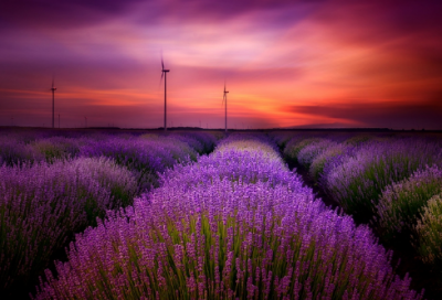 ​繁体字游戏网名最新版257个