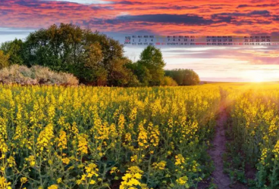 ​非主流唯美网名女生清新简短235个