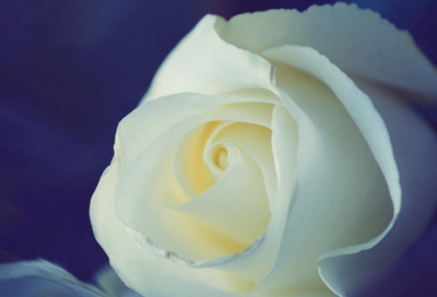 ​最浪漫女生网名233个