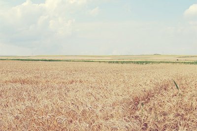 ​人生感悟句子说说心情关于人生感悟的说说(49句)