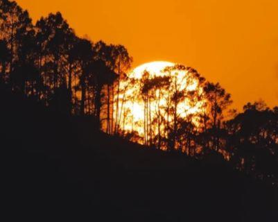 一个人挺好的说说没有伤感