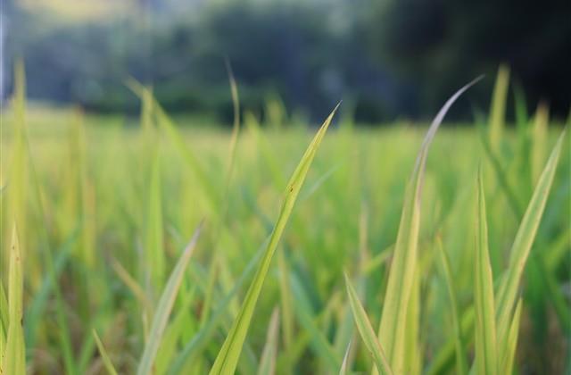 高傲霸气的网名昵称(共194个)