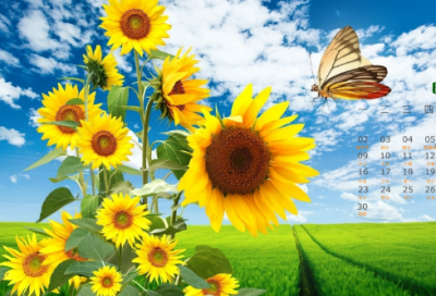 ​最新好听响亮网名209个