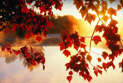 ​经典霸气个性酷酷的网名212个