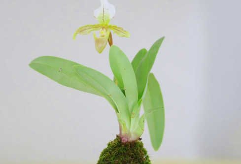 1692942468452608.png image.png