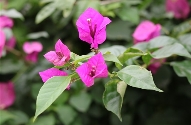 射手座微信招财名字(共838个)