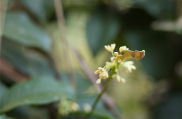 好听2个字的名字大全(共1075个)