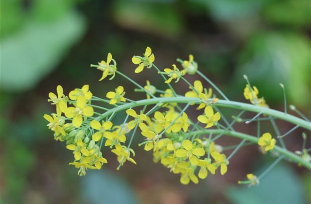 一眼很惊艳的游戏名字(共550个)