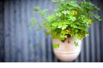 高中语文优美语句摘抄