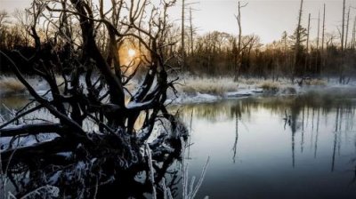 ​形容睡衣的舒服句子（发个穿睡衣的说说）