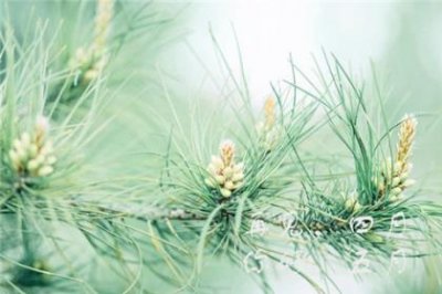 ​爆笑的朋友圈说说带图 雪景发朋友圈的说说句子